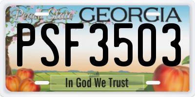GA license plate PSF3503