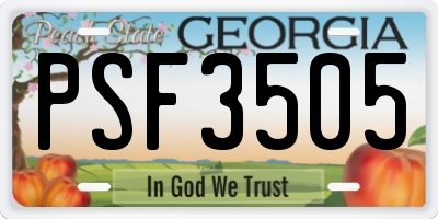 GA license plate PSF3505