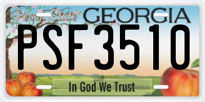 GA license plate PSF3510