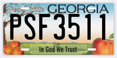 GA license plate PSF3511