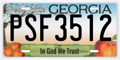 GA license plate PSF3512