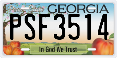 GA license plate PSF3514