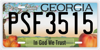 GA license plate PSF3515