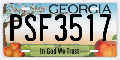 GA license plate PSF3517
