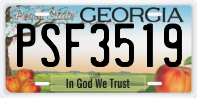 GA license plate PSF3519