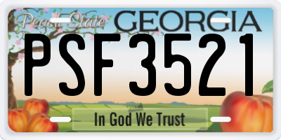 GA license plate PSF3521