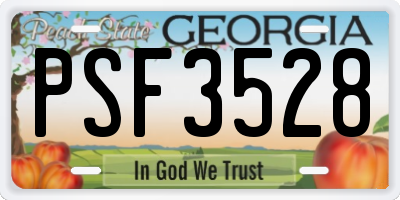 GA license plate PSF3528