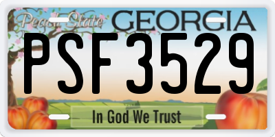 GA license plate PSF3529