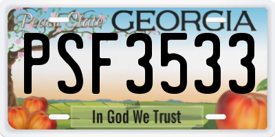 GA license plate PSF3533