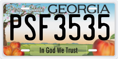 GA license plate PSF3535