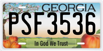 GA license plate PSF3536