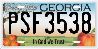 GA license plate PSF3538
