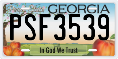 GA license plate PSF3539
