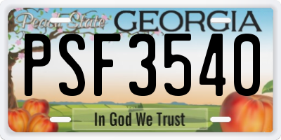 GA license plate PSF3540