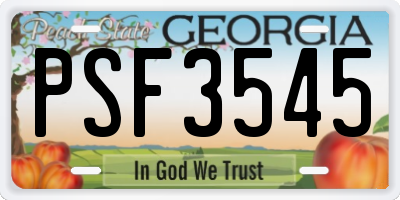 GA license plate PSF3545
