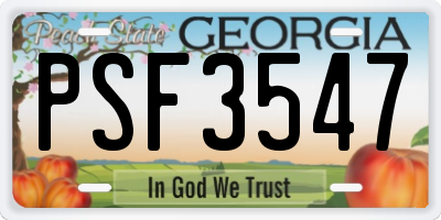 GA license plate PSF3547