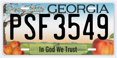 GA license plate PSF3549