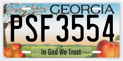 GA license plate PSF3554