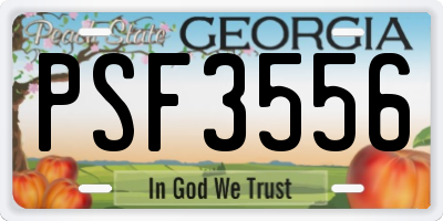 GA license plate PSF3556