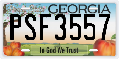 GA license plate PSF3557