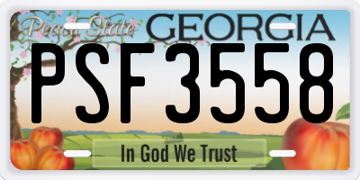GA license plate PSF3558