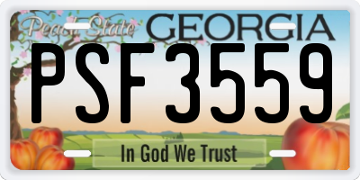 GA license plate PSF3559