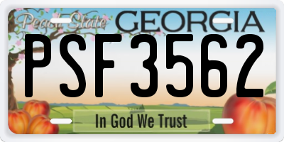 GA license plate PSF3562