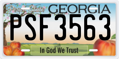 GA license plate PSF3563