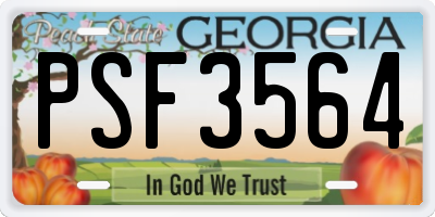GA license plate PSF3564