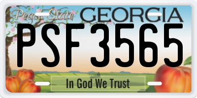 GA license plate PSF3565