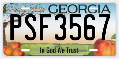 GA license plate PSF3567
