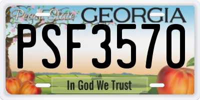 GA license plate PSF3570