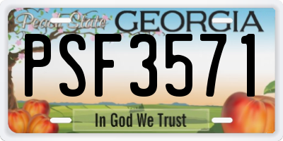 GA license plate PSF3571