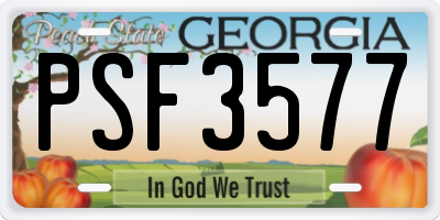 GA license plate PSF3577