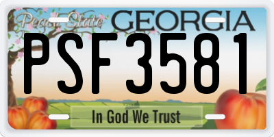GA license plate PSF3581