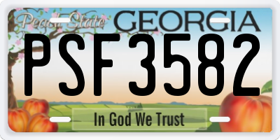 GA license plate PSF3582