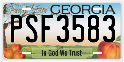 GA license plate PSF3583