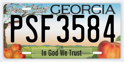 GA license plate PSF3584