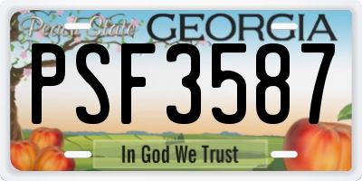 GA license plate PSF3587