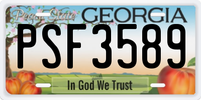 GA license plate PSF3589