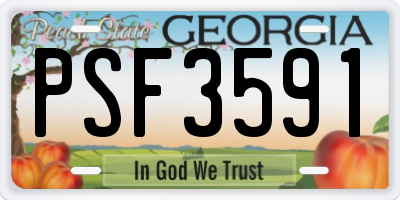 GA license plate PSF3591