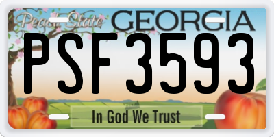 GA license plate PSF3593