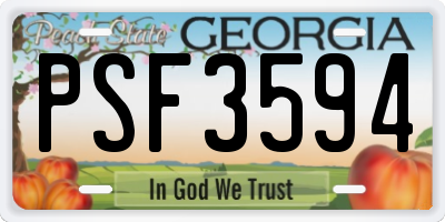 GA license plate PSF3594