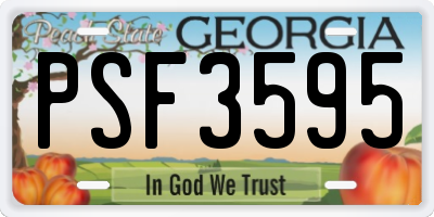 GA license plate PSF3595