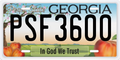 GA license plate PSF3600
