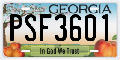GA license plate PSF3601