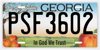 GA license plate PSF3602