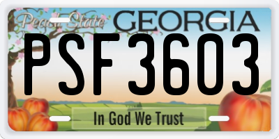 GA license plate PSF3603