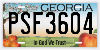 GA license plate PSF3604