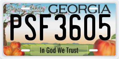 GA license plate PSF3605